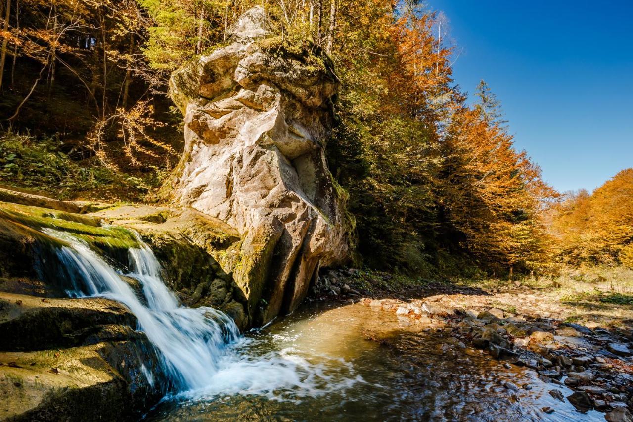 Byalobereska Хата Різьбяра 빌라 외부 사진